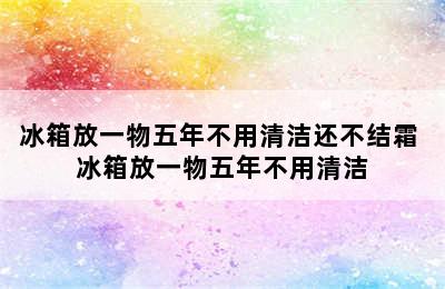 冰箱放一物五年不用清洁还不结霜 冰箱放一物五年不用清洁